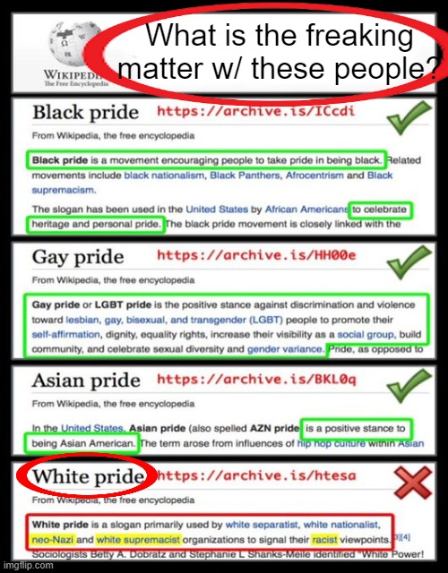 Ideocracy | What is the freaking matter w/ these people? | image tagged in politics,dumbed down population,white man,enemy,black and gay aok,what is wrong with you | made w/ Imgflip meme maker