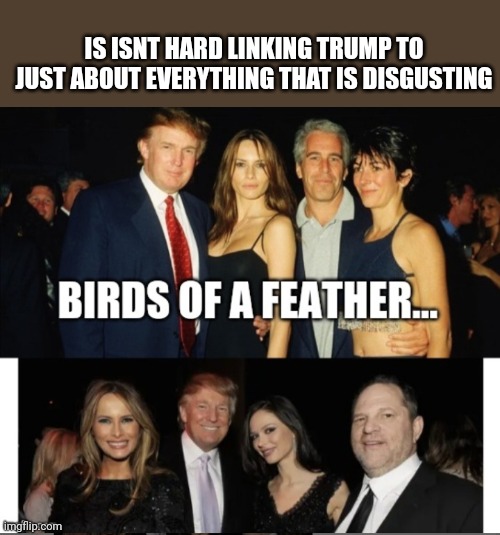Trumps Friends | IS ISNT HARD LINKING TRUMP TO JUST ABOUT EVERYTHING THAT IS DISGUSTING | image tagged in trumps friends | made w/ Imgflip meme maker