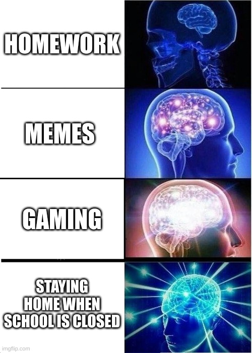Expanding Brain Meme | HOMEWORK; MEMES; GAMING; STAYING HOME WHEN SCHOOL IS CLOSED | image tagged in memes,expanding brain | made w/ Imgflip meme maker