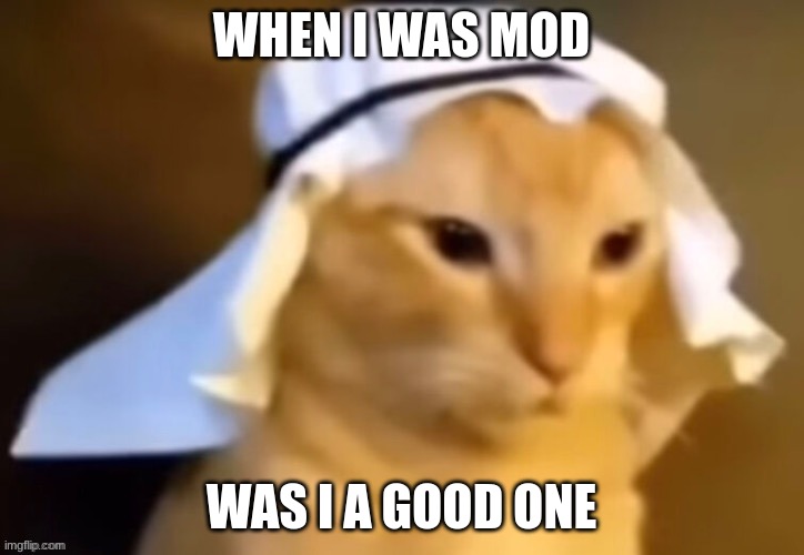 haram cat | WHEN I WAS MOD; WAS I A GOOD ONE | image tagged in haram cat | made w/ Imgflip meme maker