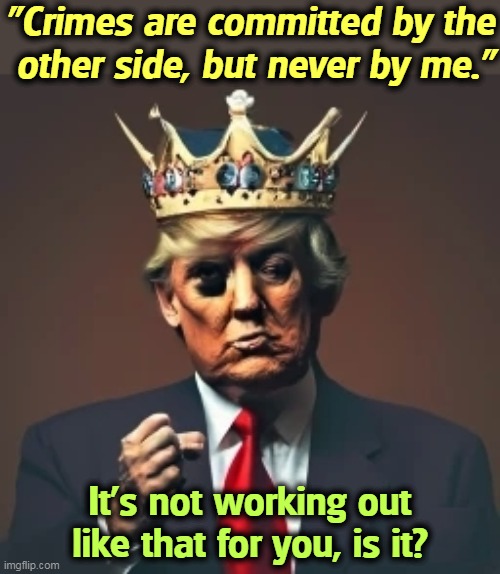 "Crimes are committed by the
 other side, but never by me."; It's not working out like that for you, is it? | image tagged in donald trump,career,criminal,crime,law,laws | made w/ Imgflip meme maker