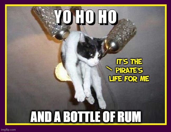 I've gotta keep my Cat Mewford out of the catnip | IT'S THE PIRATE'S LIFE FOR ME; —; AND A BOTTLE OF RUM | image tagged in vince vance,drunk,pirate,cats,yo ho ho,i love cats | made w/ Imgflip meme maker