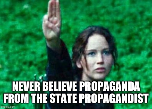 Katniss salute | NEVER BELIEVE PROPAGANDA FROM THE STATE PROPAGANDIST | image tagged in katniss salute | made w/ Imgflip meme maker