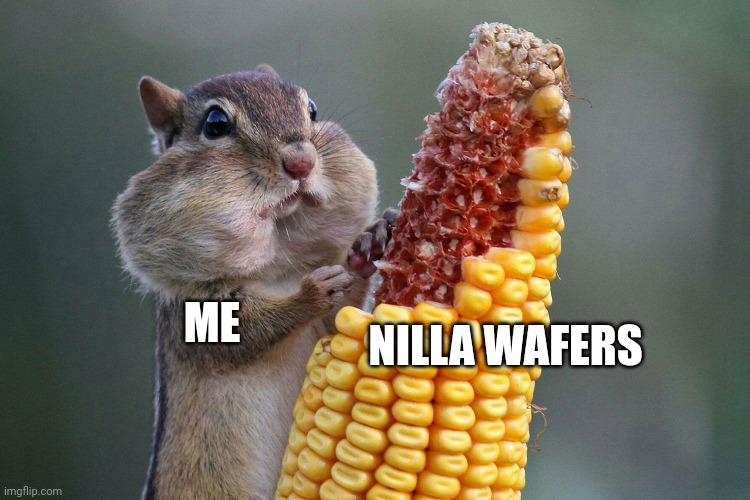 Nilla wafers | NILLA WAFERS; ME | image tagged in chipmunk feast | made w/ Imgflip meme maker