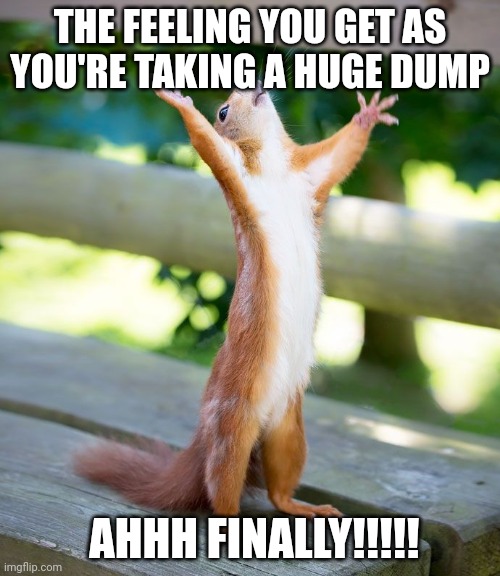 Something to relate to | THE FEELING YOU GET AS YOU'RE TAKING A HUGE DUMP; AHHH FINALLY!!!!! | image tagged in grateful | made w/ Imgflip meme maker