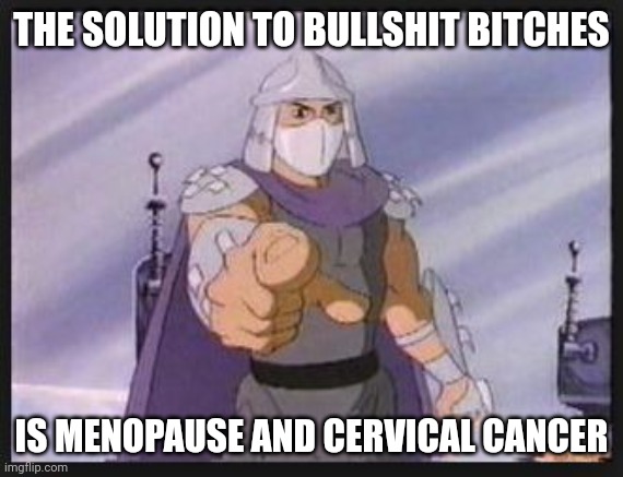 Spinster Life | THE SOLUTION TO BULLSHIT BITCHES; IS MENOPAUSE AND CERVICAL CANCER | image tagged in shredder has a point | made w/ Imgflip meme maker