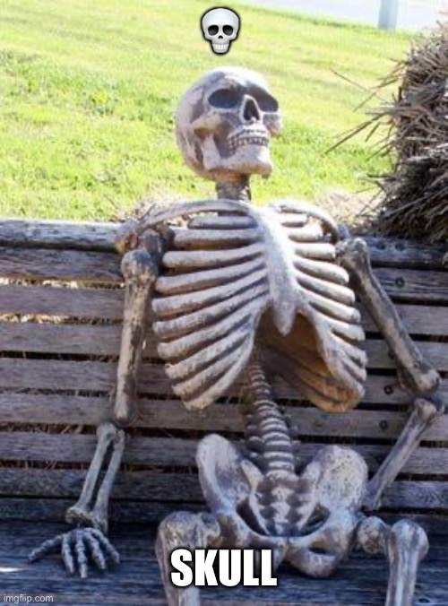 The many skulls | 💀; 💀 | image tagged in memes,waiting skeleton | made w/ Imgflip meme maker