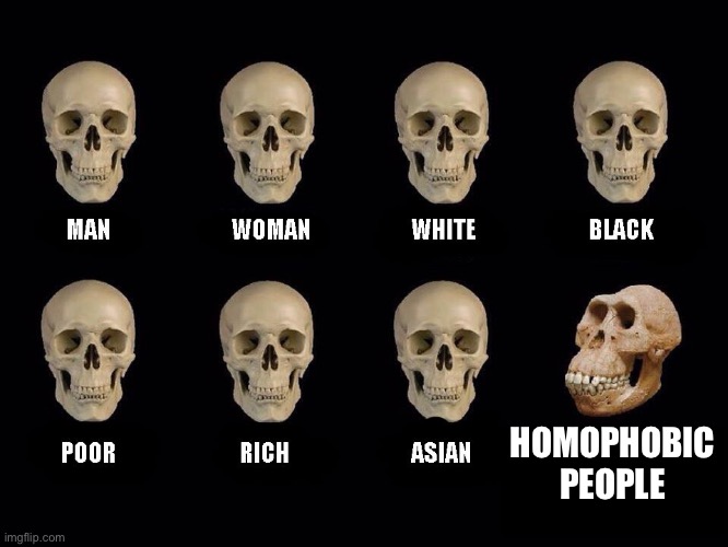 HOMOPHOBIC PEOPLE | image tagged in empty skulls of truth | made w/ Imgflip meme maker