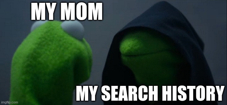suspicous history | MY MOM; MY SEARCH HISTORY | image tagged in memes,evil kermit | made w/ Imgflip meme maker