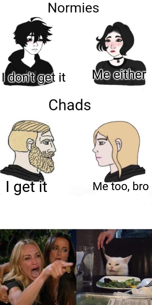Me either I get it Me too, bro I don't get it | image tagged in chads vs normies,memes,woman yelling at cat | made w/ Imgflip meme maker