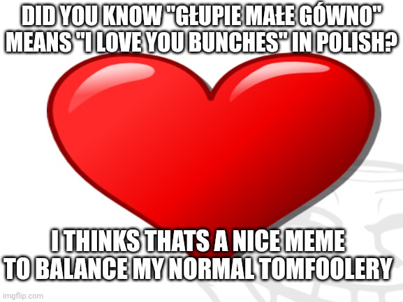 DID YOU KNOW "GŁUPIE MAŁE GÓWNO" MEANS "I LOVE YOU BUNCHES" IN POLISH? I THINKS THATS A NICE MEME TO BALANCE MY NORMAL TOMFOOLERY | made w/ Imgflip meme maker