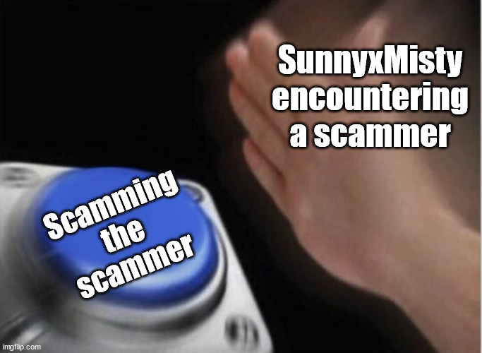 Only SunnyxMisty fans will understand this | SunnyxMisty encountering a scammer; Scamming the scammer | image tagged in slap that button | made w/ Imgflip meme maker