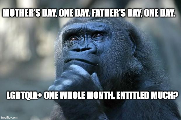 Deep Thoughts | MOTHER'S DAY, ONE DAY. FATHER'S DAY, ONE DAY. LGBTQIA+ ONE WHOLE MONTH. ENTITLED MUCH? | image tagged in deep thoughts | made w/ Imgflip meme maker