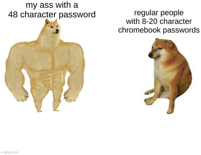 bit of backstory: my password was 20 long then somebody said it was too long so i changed it | my ass with a 48 character password; regular people with 8-20 character chromebook passwords | image tagged in memes,buff doge vs cheems | made w/ Imgflip meme maker
