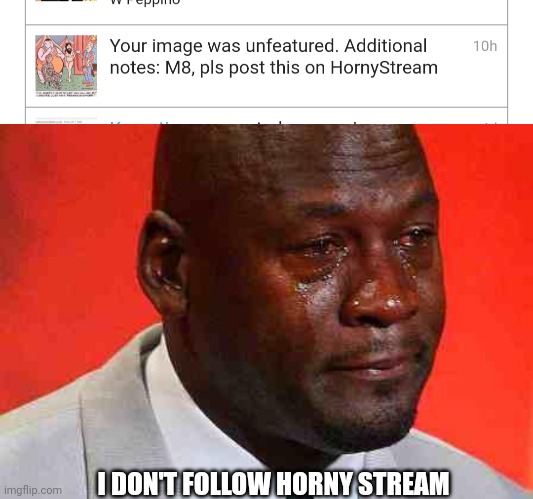 I DON'T FOLLOW HORNY STREAM | image tagged in crying michael jordan | made w/ Imgflip meme maker