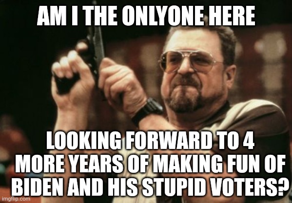 Am I The Only One Around Here Meme | AM I THE ONLYONE HERE LOOKING FORWARD TO 4 MORE YEARS OF MAKING FUN OF BIDEN AND HIS STUPID VOTERS? | image tagged in memes,am i the only one around here | made w/ Imgflip meme maker