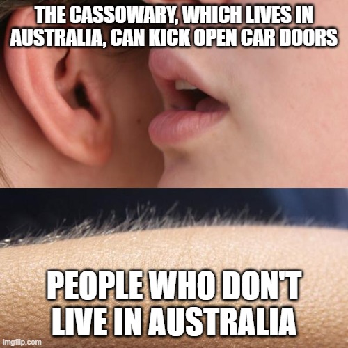 Whisper and Goosebumps | THE CASSOWARY, WHICH LIVES IN AUSTRALIA, CAN KICK OPEN CAR DOORS; PEOPLE WHO DON'T LIVE IN AUSTRALIA | image tagged in whisper and goosebumps | made w/ Imgflip meme maker