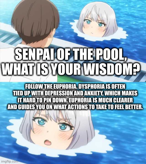 Senpai of the pool | SENPAI OF THE POOL, WHAT IS YOUR WISDOM? FOLLOW THE EUPHORIA. DYSPHORIA IS OFTEN TIED UP WITH DEPRESSION AND ANXIETY, WHICH MAKES IT HARD TO PIN DOWN. EUPHORIA IS MUCH CLEARER AND GUIDES YOU ON WHAT ACTIONS TO TAKE TO FEEL BETTER. | image tagged in senpai of the pool | made w/ Imgflip meme maker