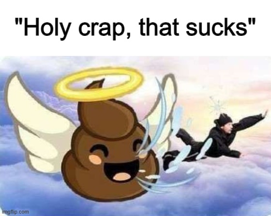 Took it too literal XD | "Holy crap, that sucks" | made w/ Imgflip meme maker