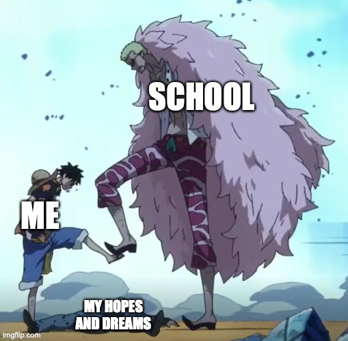 one piece luffy doflamingo stop | SCHOOL; ME; MY HOPES AND DREAMS | image tagged in one piece luffy doflamingo stop | made w/ Imgflip meme maker