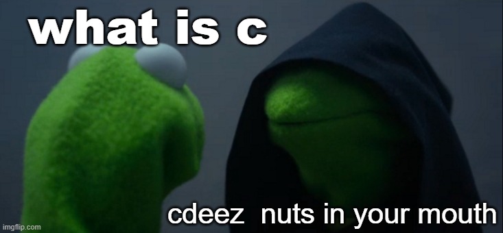 cd | what is c; cdeez  nuts in your mouth | image tagged in memes,evil kermit | made w/ Imgflip meme maker