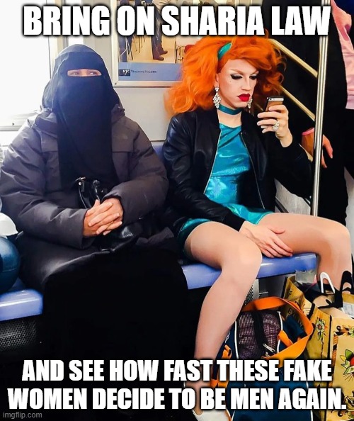 Make em wear burkas. | BRING ON SHARIA LAW; AND SEE HOW FAST THESE FAKE WOMEN DECIDE TO BE MEN AGAIN. | image tagged in sharia law,transgender | made w/ Imgflip meme maker