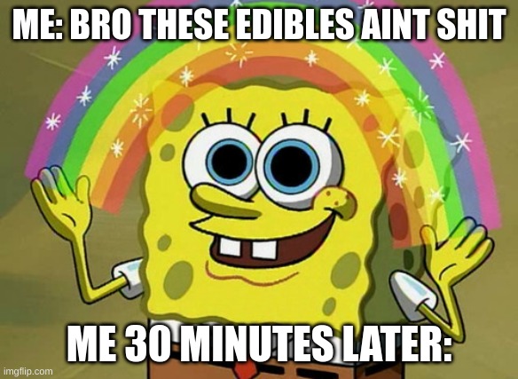 Imagination Spongebob Meme | ME: BRO THESE EDIBLES AINT SHIT; ME 30 MINUTES LATER: | image tagged in memes,imagination spongebob | made w/ Imgflip meme maker