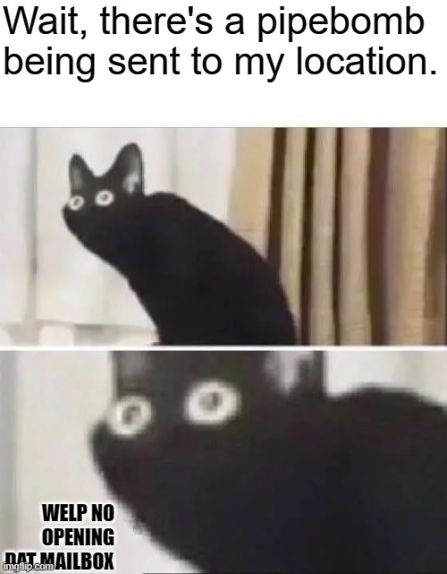 Oh No Black Cat | Wait, there's a pipebomb being sent to my location. WELP NO OPENING DAT MAILBOX | image tagged in oh no black cat | made w/ Imgflip meme maker