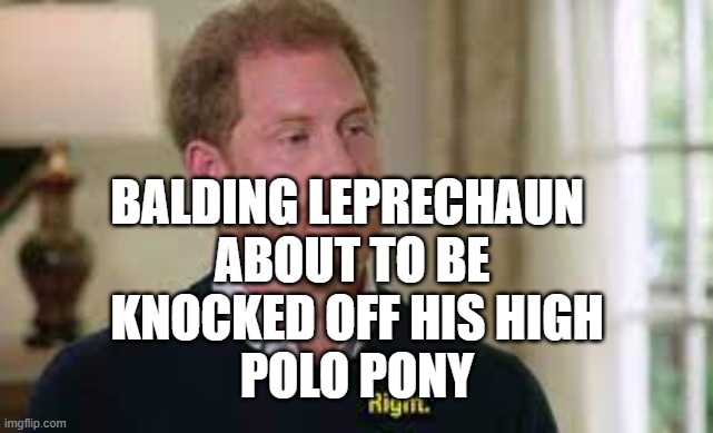 BALDING LEPRECHAUN  
ABOUT TO BE 
KNOCKED OFF HIS HIGH
POLO PONY | made w/ Imgflip meme maker