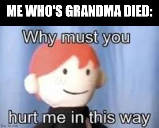 Why must you hurt me in this way | ME WHO'S GRANDMA DIED: | image tagged in why must you hurt me in this way | made w/ Imgflip meme maker
