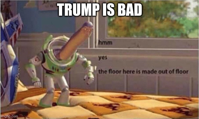 hmm yes the floor here is made out of floor | TRUMP IS BAD | image tagged in hmm yes the floor here is made out of floor | made w/ Imgflip meme maker