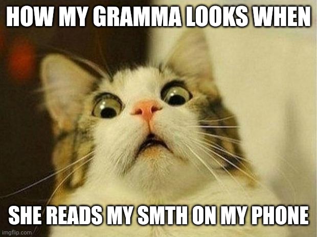 Scared Cat | HOW MY GRAMMA LOOKS WHEN; SHE READS MY SMTH ON MY PHONE | image tagged in memes,scared cat | made w/ Imgflip meme maker
