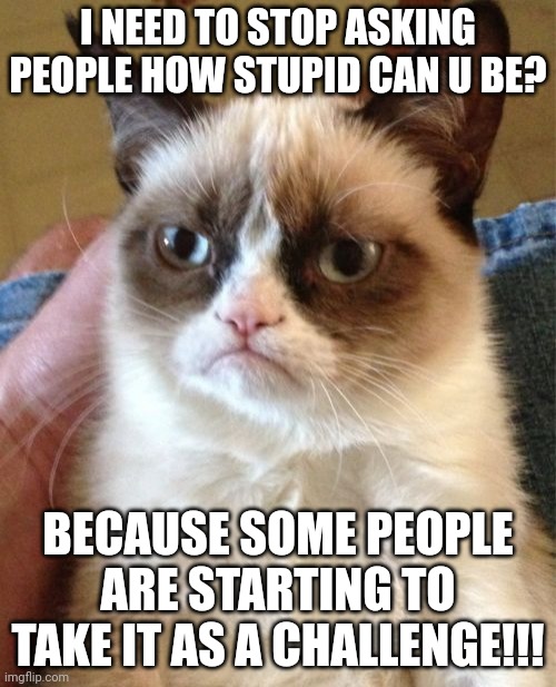 Grumpy Cat | I NEED TO STOP ASKING PEOPLE HOW STUPID CAN U BE? BECAUSE SOME PEOPLE ARE STARTING TO TAKE IT AS A CHALLENGE!!! | image tagged in memes,grumpy cat | made w/ Imgflip meme maker