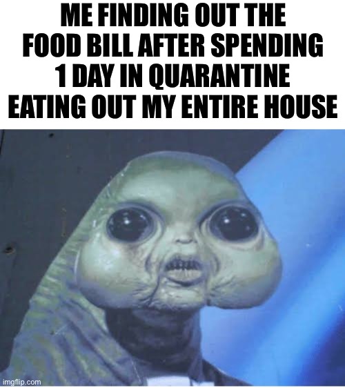 Oh noo | ME FINDING OUT THE FOOD BILL AFTER SPENDING 1 DAY IN QUARANTINE EATING OUT MY ENTIRE HOUSE | image tagged in quem eh vc,quarantine | made w/ Imgflip meme maker