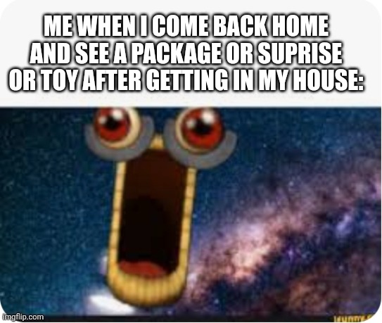 This Happened To Me Today. | ME WHEN I COME BACK HOME AND SEE A PACKAGE OR SUPRISE OR TOY AFTER GETTING IN MY HOUSE: | image tagged in lol,lol so funny,memes,funny memes,funny meme,meme | made w/ Imgflip meme maker