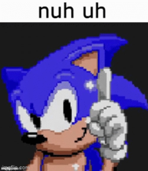 sonic nuh uh | image tagged in sonic nuh uh | made w/ Imgflip meme maker