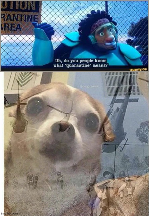 I think we all remember this scene from big hero 6 | image tagged in ptsd chihuahua,memes,funny memes | made w/ Imgflip meme maker