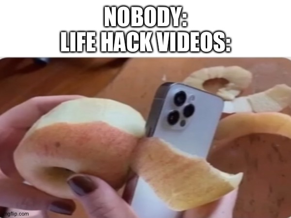 Life hack | NOBODY:
LIFE HACK VIDEOS: | image tagged in memes,life hack | made w/ Imgflip meme maker