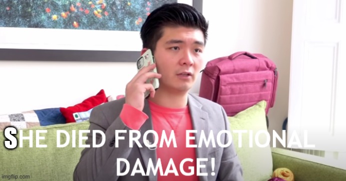 HE DIED FROM EMOTIONAL DAMAGE | S | image tagged in he died from emotional damage | made w/ Imgflip meme maker