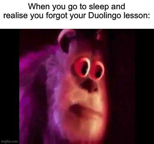 Recently I lost my 75+ day streak :( | When you go to sleep and realise you forgot your Duolingo lesson: | image tagged in sully groan,memes,funny,duolingo,this tag is not important | made w/ Imgflip meme maker