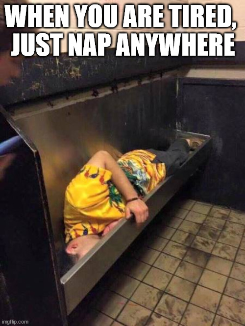 WHEN YOU ARE TIRED, 
JUST NAP ANYWHERE | image tagged in gross | made w/ Imgflip meme maker