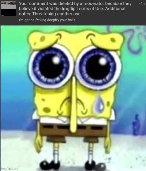 And I got commen banned for another 8 hours, thanks site mods, for being so sensitive and not handling jokes | image tagged in sad spongebob | made w/ Imgflip meme maker