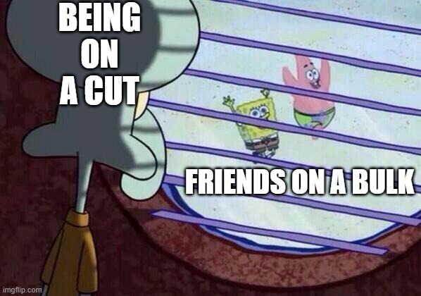 Squidward window | BEING ON A CUT; FRIENDS ON A BULK | image tagged in squidward window | made w/ Imgflip meme maker