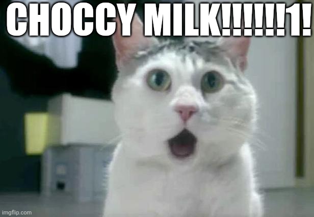 OMG Cat Meme | CHOCCY MILK!!!!!!1! | image tagged in memes,omg cat | made w/ Imgflip meme maker