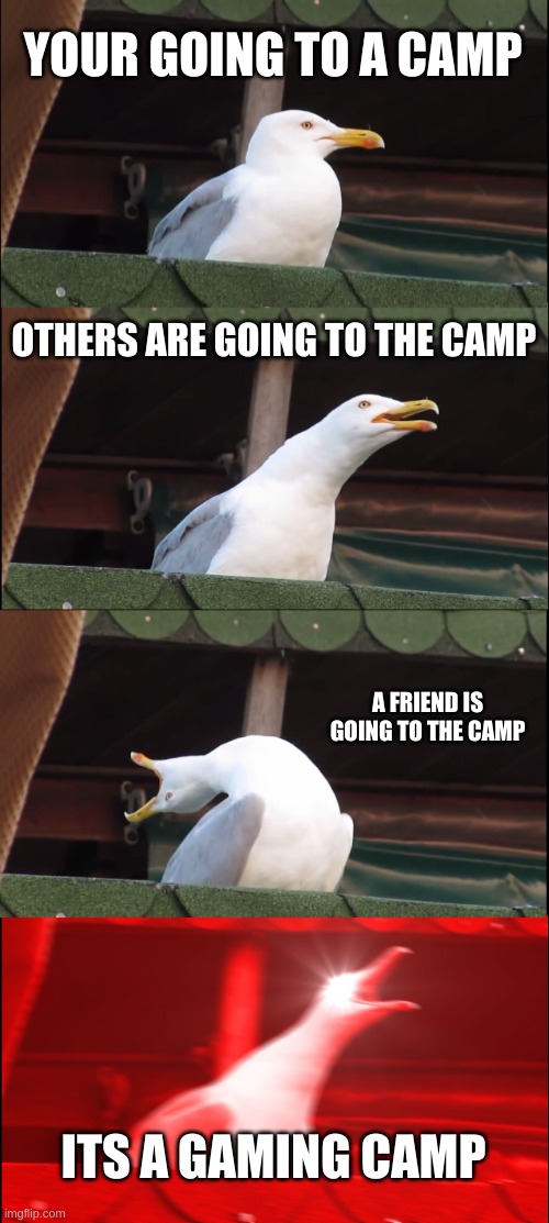 camp | YOUR GOING TO A CAMP; OTHERS ARE GOING TO THE CAMP; A FRIEND IS GOING TO THE CAMP; ITS A GAMING CAMP | image tagged in memes,inhaling seagull | made w/ Imgflip meme maker