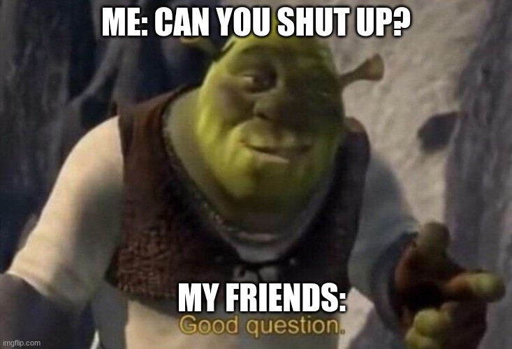 Shrek good question | ME: CAN YOU SHUT UP? MY FRIENDS: | image tagged in shrek good question | made w/ Imgflip meme maker