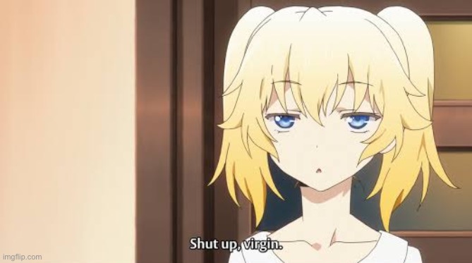 Shut up virgin | image tagged in shut up virgin | made w/ Imgflip meme maker