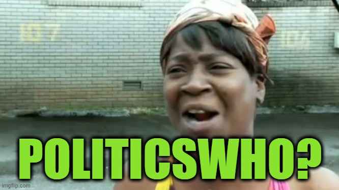 Ain't Nobody Got Time For That Meme | POLITICSWHO? | image tagged in memes,ain't nobody got time for that | made w/ Imgflip meme maker