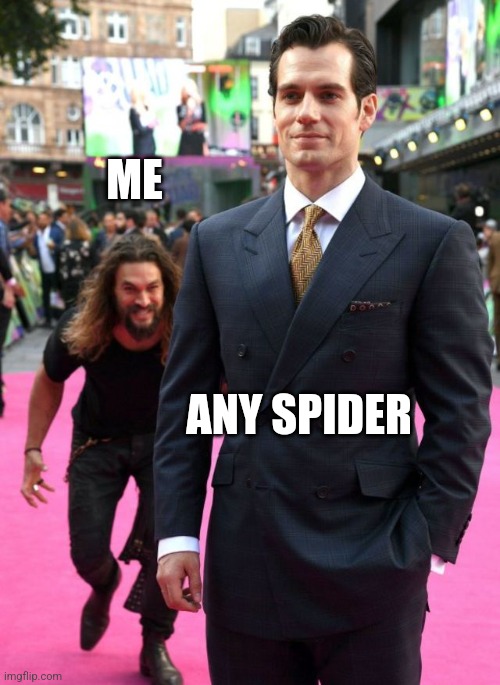 When you like spiders and aren't afraid of them | ME; ANY SPIDER | image tagged in jason mamoa,spiders,humor | made w/ Imgflip meme maker