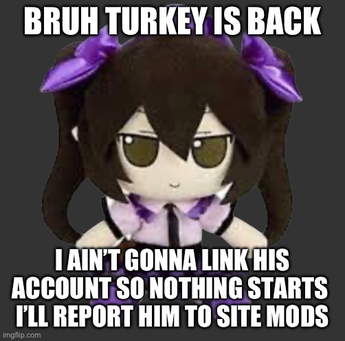 Hatate fumo | BRUH TURKEY IS BACK; I AIN’T GONNA LINK HIS ACCOUNT SO NOTHING STARTS 
I’LL REPORT HIM TO SITE MODS | image tagged in hatate fumo | made w/ Imgflip meme maker